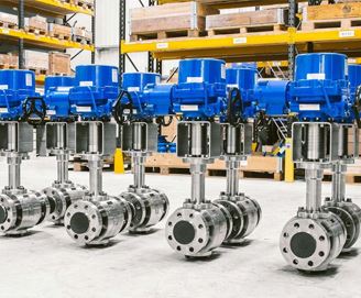 Stainless Steel Valves