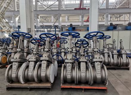 Stainless Steel Valves